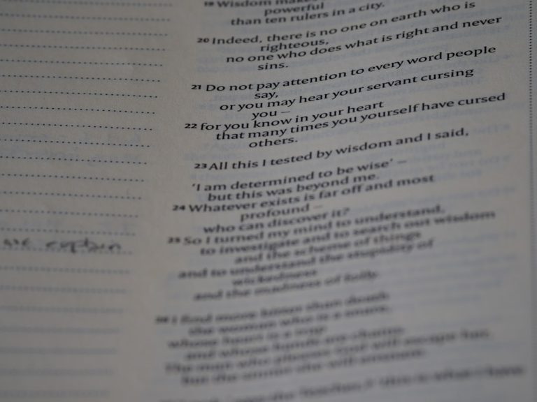 The Art of Perfecting Your Papers: A Student’s Guide to Proofreading
